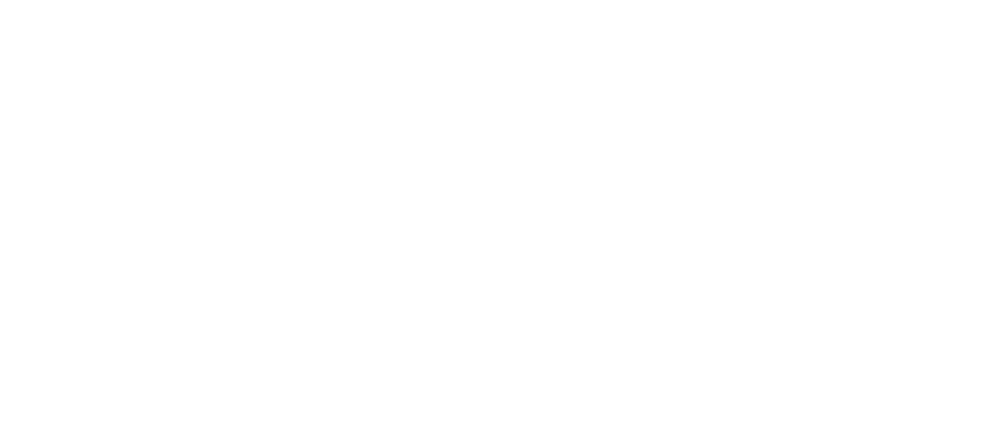 SPI.WEBSTUDIO